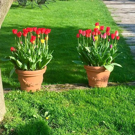 Holiday Resort Svarny روجومبيروك المظهر الخارجي الصورة